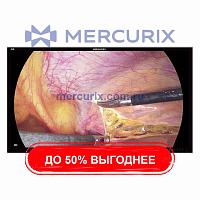 Монитор для эндоскопии S5583P