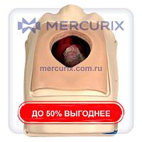 Учебный медицинский симулятор M1143