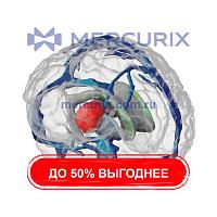 Тест-фантом для радиохирургии ANATDEL